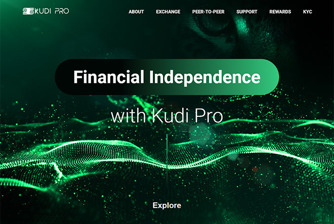 Kudi Pro Website